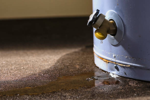 Best Flood restoration services  in Summersville, WV