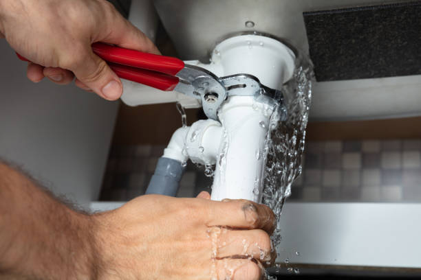 Best Basement water damage restoration  in Summersville, WV
