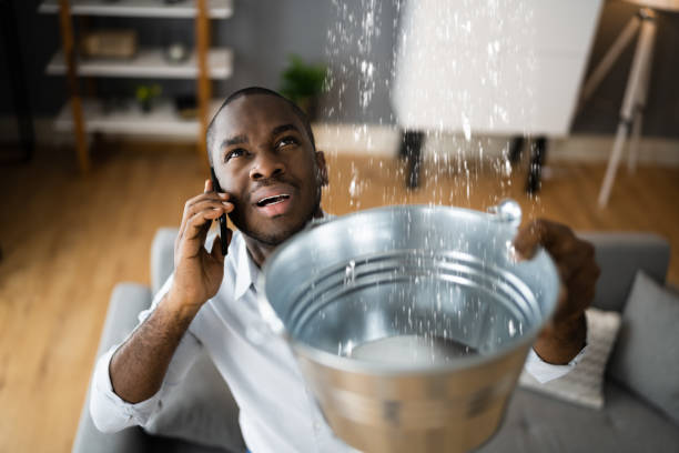 Best Emergency water extraction  in Summersville, WV