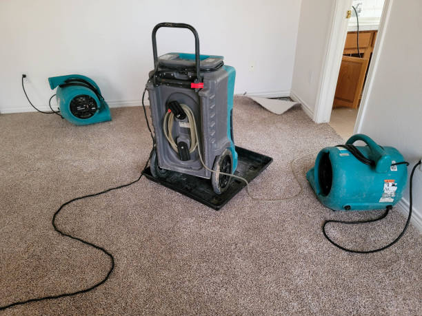 Best Emergency water damage restoration  in Summersville, WV