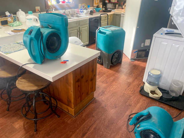 Best Water damage restoration near me  in Summersville, WV
