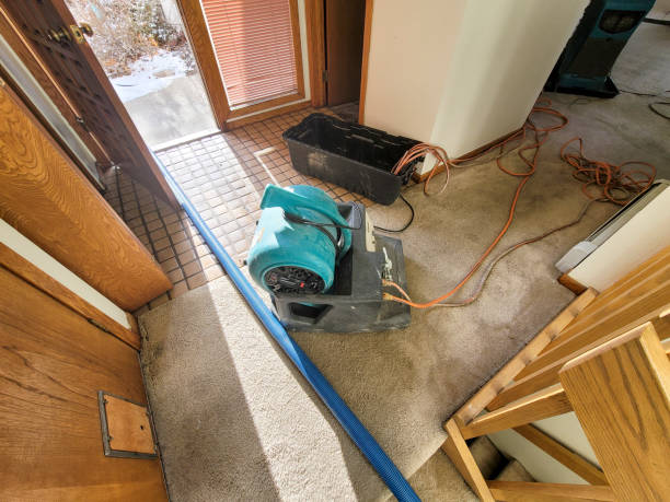 Best 24-hour water damage restoration  in Summersville, WV