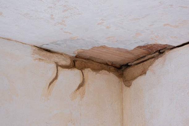 Best Emergency water damage restoration  in Summersville, WV