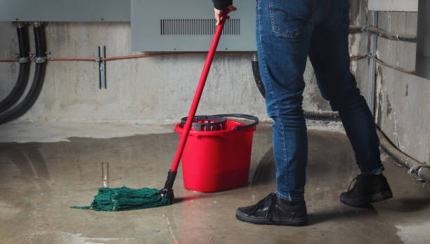 Best Local water damage restoration  in Summersville, WV