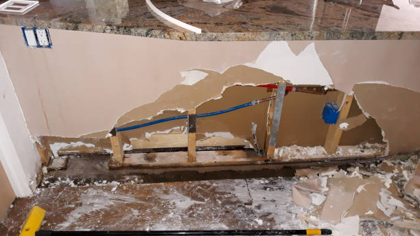 Best Flood damage cleanup  in Summersville, WV
