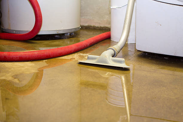 Best Commercial water damage restoration  in Summersville, WV