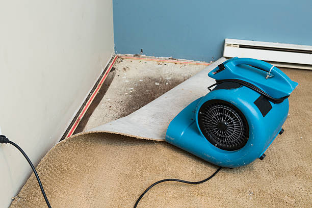 Fire Damage Restoration in Summersville, WV